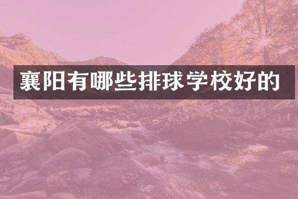 襄阳有哪些排球学校好的