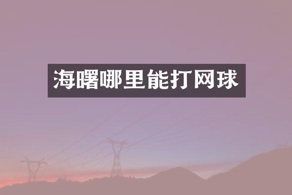 海曙哪里能打网球