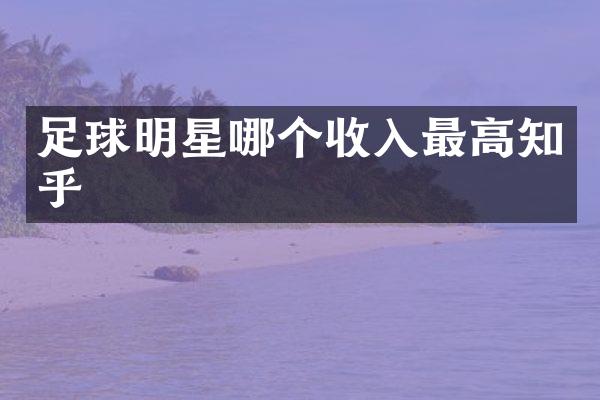 足球明星哪个收入最高知乎