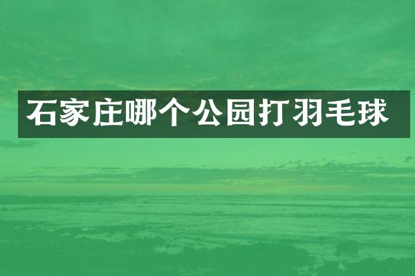 石家庄哪个公园打羽毛球