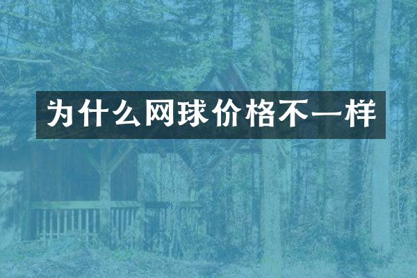 为什么网球价格不一样