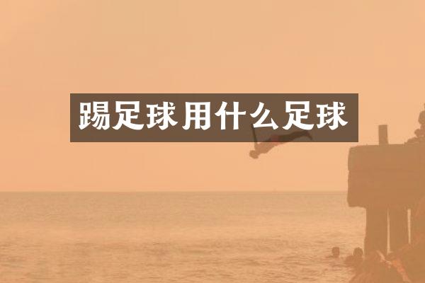 踢足球用什么足球