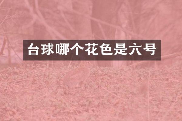 台球哪个花色是六号