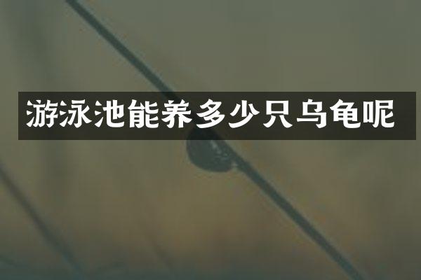 游泳池能养多少只乌龟呢