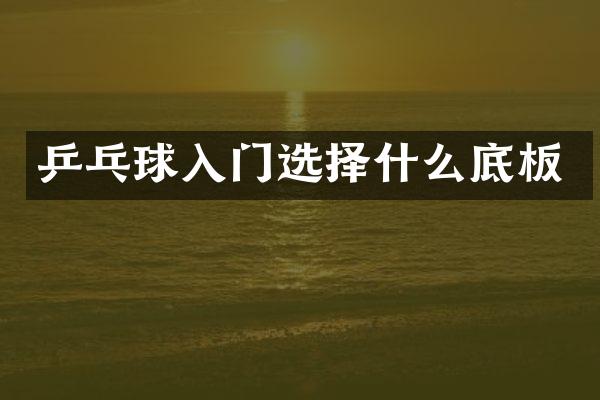 乒乓球入门选择什么底板