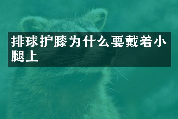 排球护膝为什么要戴着小腿上