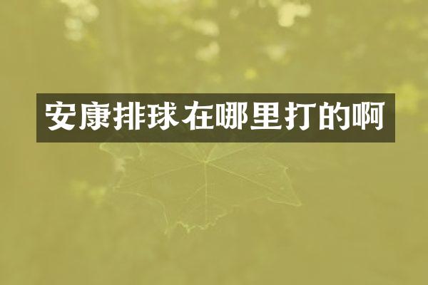 安康排球在哪里打的啊