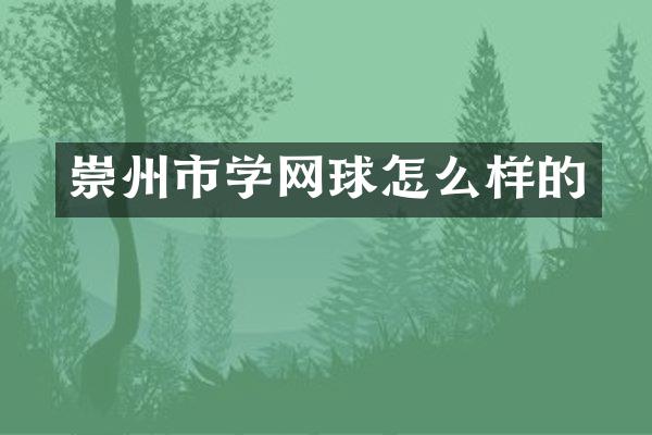 崇州市学网球怎么样的