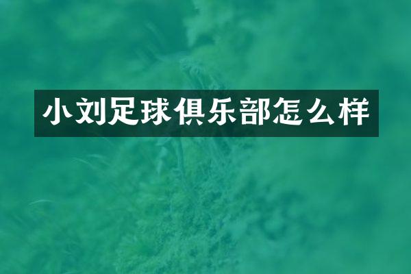 小刘足球俱乐部怎么样
