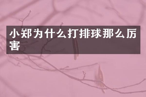 小郑为什么打排球那么厉害