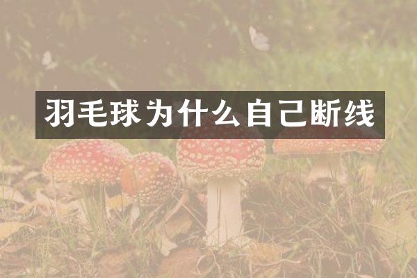 羽毛球为什么自己断线