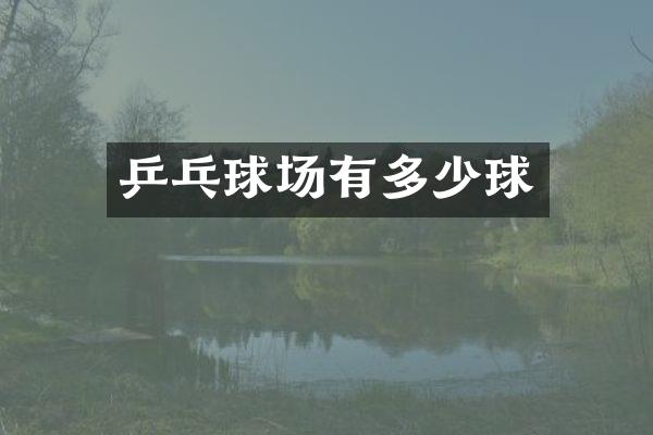 乒乓球场有多少球