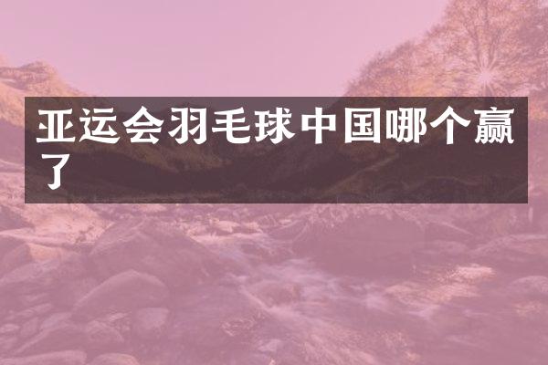 亚运会羽毛球中国哪个赢了