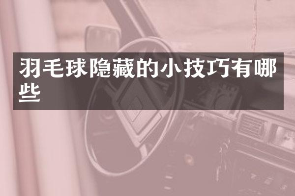 羽毛球隐藏的小技巧有哪些