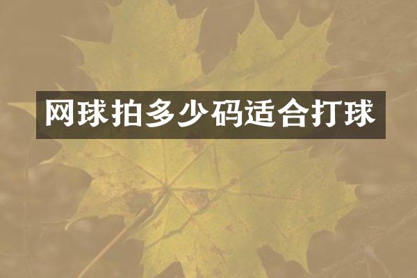 网球拍多少码适合打球