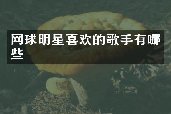网球明星喜欢的歌手有哪些