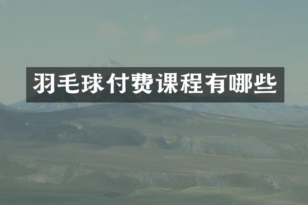 羽毛球付费课程有哪些