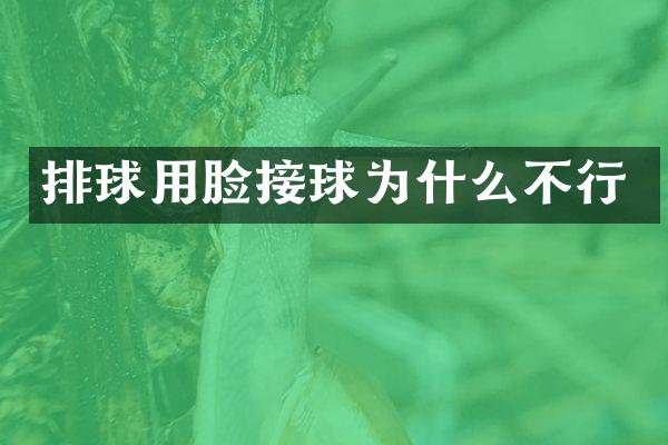 排球用脸接球为什么不行