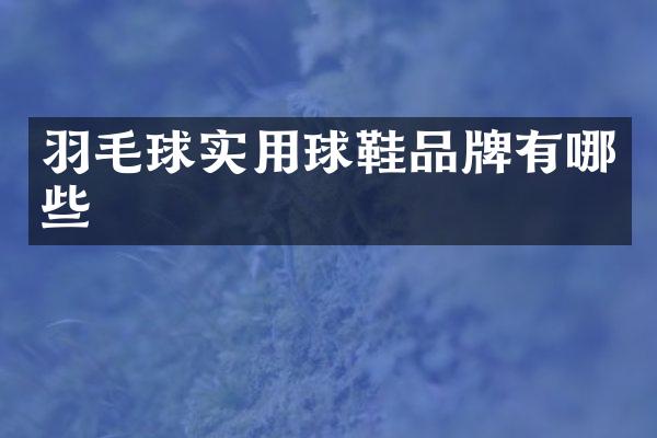 羽毛球实用球鞋品牌有哪些