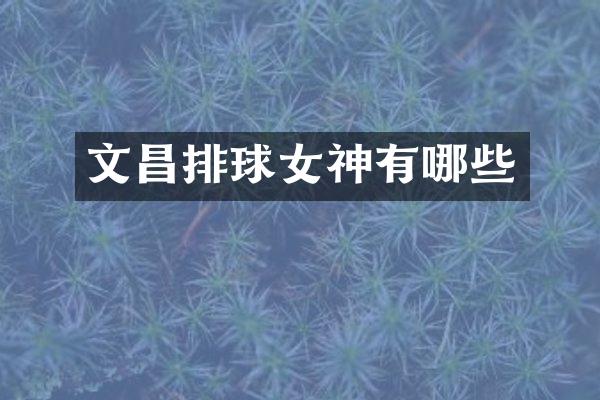 文昌排球女神有哪些