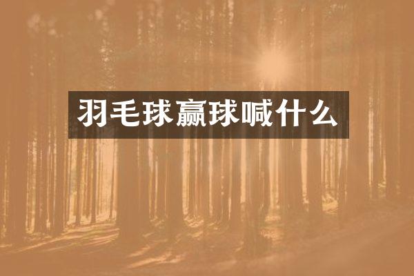 羽毛球赢球喊什么