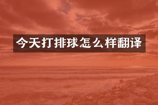 今天打排球怎么样翻译