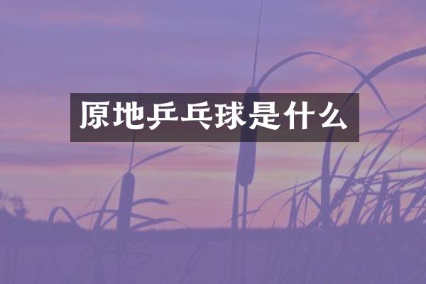原地乒乓球是什么