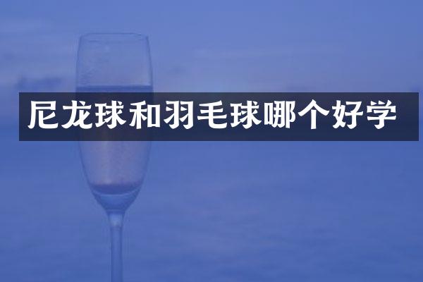 尼龙球和羽毛球哪个好学