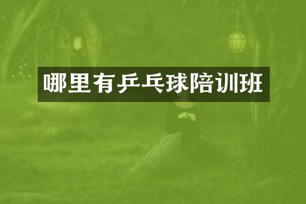 哪里有乒乓球陪训班