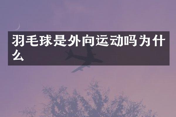 羽毛球是外向运动吗为什么