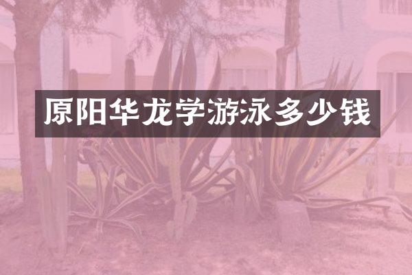 原阳华龙学游泳多少钱