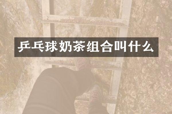 乒乓球奶茶组合叫什么