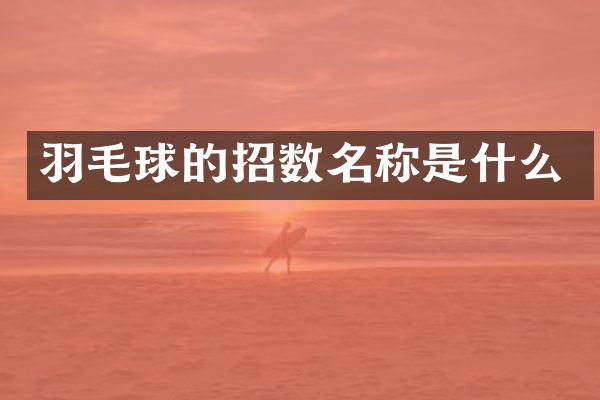 羽毛球的招数名称是什么