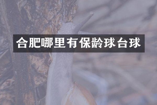 合肥哪里有保龄球台球