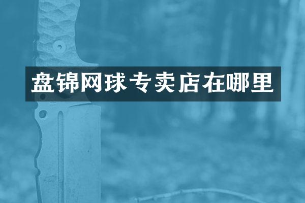 盘锦网球专卖店在哪里