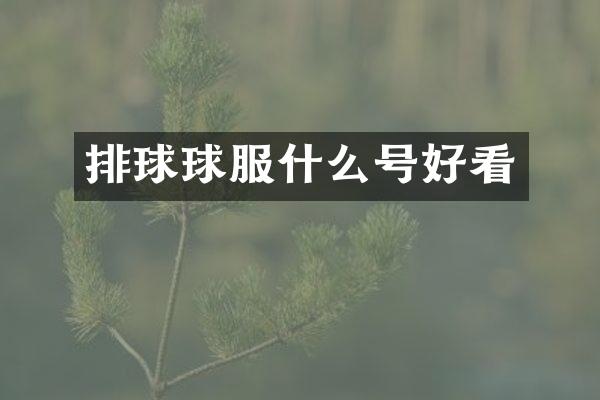 排球球服什么号好看