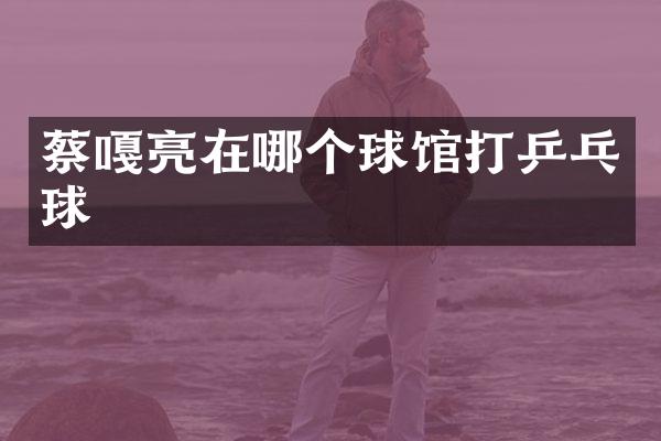 蔡嘎亮在哪个球馆打乒乓球