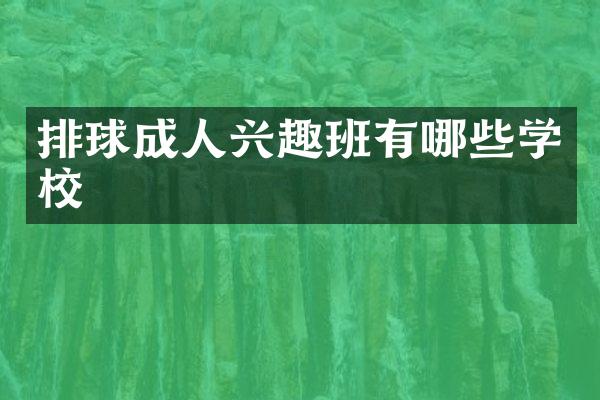 排球成人兴趣班有哪些学校