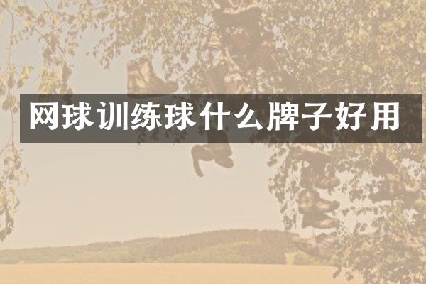 网球训练球什么牌子好用