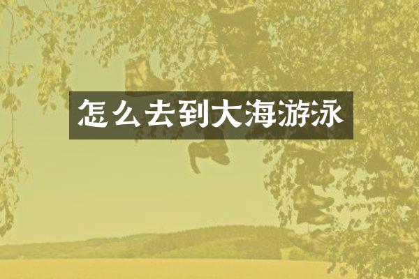 怎么去到大海游泳