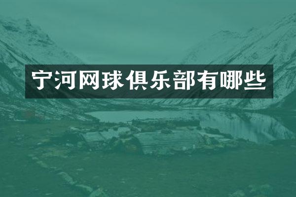 宁河网球俱乐部有哪些