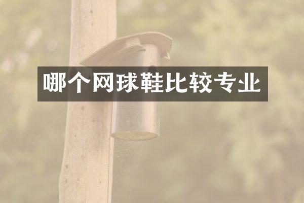 哪个网球鞋比较专业