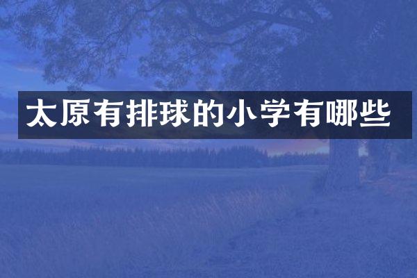 太原有排球的小学有哪些