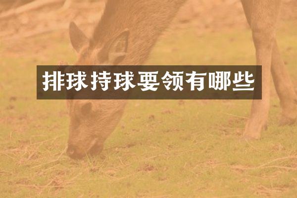 排球持球要领有哪些
