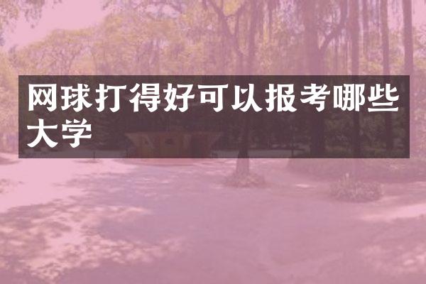 网球打得好可以报考哪些大学