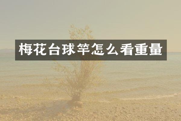 梅花台球竿怎么看重量
