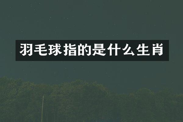 羽毛球指的是什么生肖