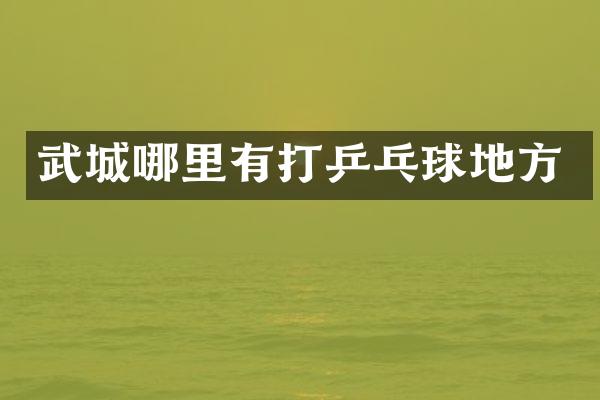 武城哪里有打乒乓球地方