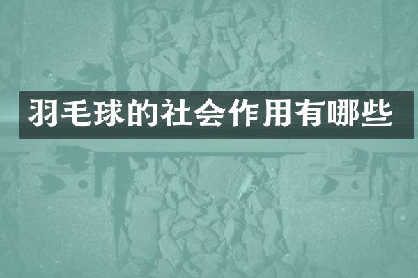 羽毛球的社会作用有哪些