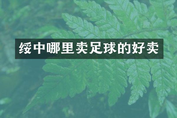 绥中哪里卖足球的好卖